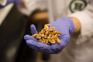 Scientists tie walnuts to gene expressions related to breast cancer