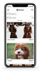 Carsharing Pioneer Getaround Evolves Business Model, Introducing Instant Dogsharing With Getahound