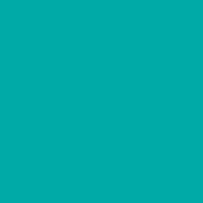 Festival Flyre : Partagez le carré bleu sarcelle sur Instagram avec le titre « Festival Flyre, prêt pour le décollage ». (Groupe CNW/WESTJET, an Alberta Partnership)