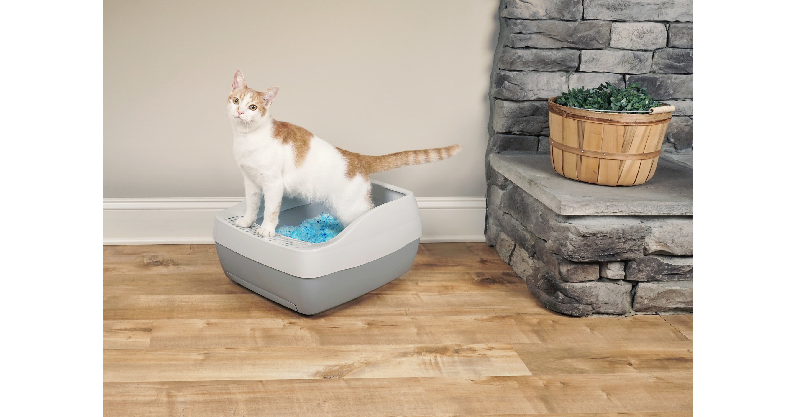 PetSafe® Tackles Odor Control in Fresh Way with New Deluxe Crystal