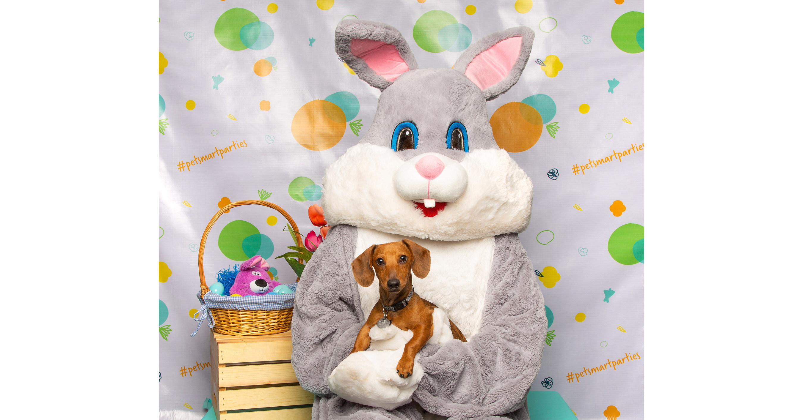 PetSmart® Hosts Free Pet Photos with the Easter Bunny