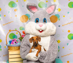 PetSmart® Hosts Free Pet Photos with the Easter Bunny