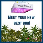Have a TOAK: New LED Cannabis Grow Lights from Access Fixtures