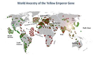 Searching for The Genetic Origin of The World's Largest Population -- Yellow Emperor Gene