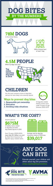 New research shows dog bites down in 2018, but risk increases among children under 1 year