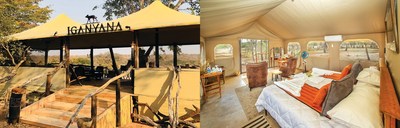 The Iganyana tented tamp is a Vantage Deluxe World Travel-exclusive safari camp located in a private concession on the borders of Hwange National Park, Zimbabwe’s flagship safari destination.