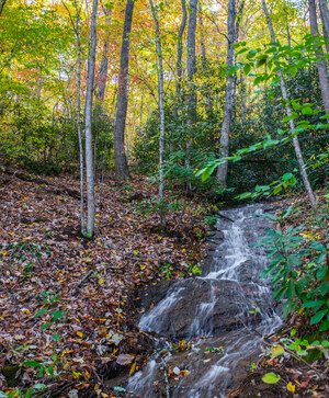 Southeast Regional Land Conservancy preserves 154 acres in Western North Carolina