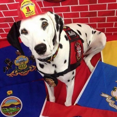 Molly the Fire Safety Dog in her firefighting glory. Photo: Dayna Hilton (CNW Group/Ontario Science Centre)