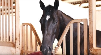 Texas Grand Ranch Residents Get Exclusive Access to Champion Race Horse Facility Just Down The Road