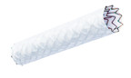 BIOTRONIK Launches PK Papyrus Covered Coronary Stent in the US