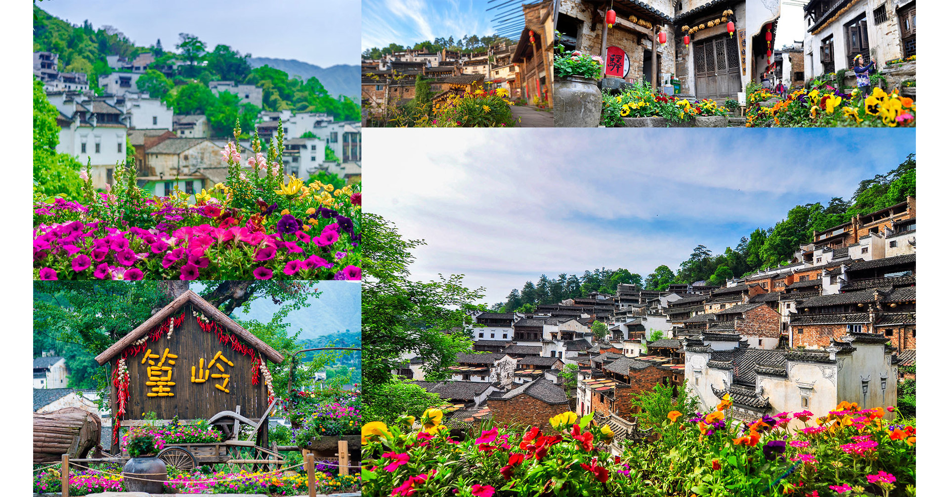 Huangling Sets the benchmark of Chinese Flower Town