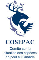 Logo : Comit sur la situation des espces en pril au Canada (COSEPAC) (Groupe CNW/Comit sur la situation des espces en pril au Canada)