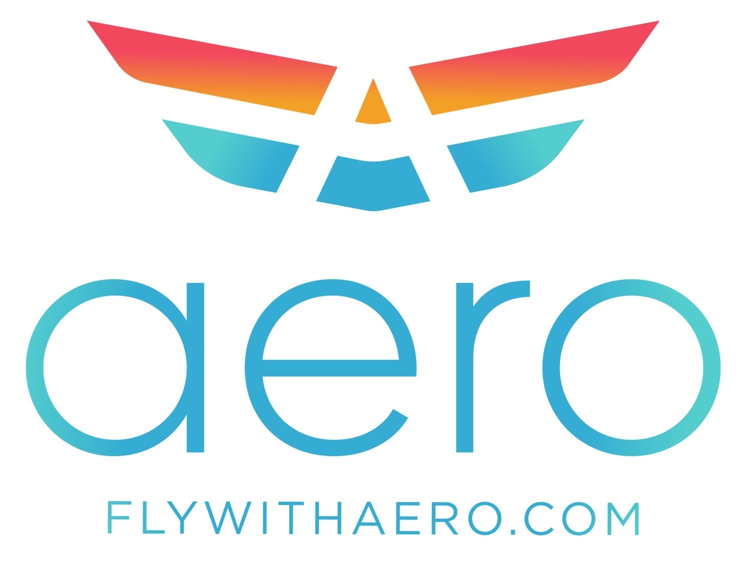 Aero Air Charter Partners with Hangout Fest to Create Luxurious Package