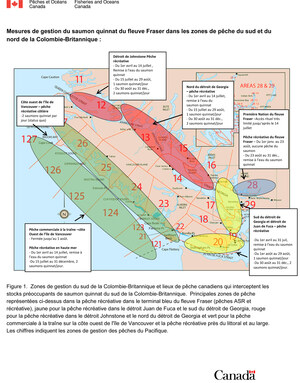Le gouvernement du Canada agit pour lutter contre le déclin du saumon quinnat du fleuve Fraser