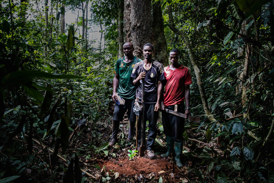 Local villagers stand near a freshly planted Ebony seedling in Cameroon's Congo Basin rainforest as part of Taylor Guitars' The Ebony Project. Photo credit: Chris Sorenson/Taylor Guitars.