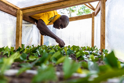 Young Ebony seedlings being cared for prior to replanting in Cameroon's Congo Basin rainforest as part of Taylor Guitars' The Ebony Project. Photo credit: Chris Sorenson/Taylor Guitars.