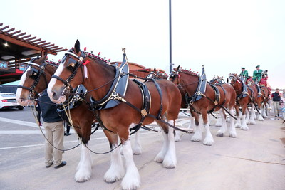 The Budweiser Clydesdales brought Nikola Motor CEO Trevor Milton into Nikola World 2019.