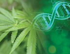 Medicinal Genomics announces Cannabis Pan-Genome project, a major advance in genetics for cannabis breeding