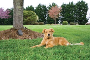 PetSafe® Releases Five New Pet Doors and Pet Fences Just in Time for Spring