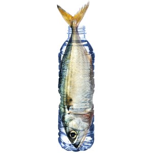 PATHWATER Launches 'Fish in a Bottle' Earth Day Campaign to Petition the Phasing Out of Single-use PET Plastic Bottles in California