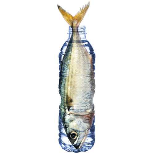 PATHWATER Launches 'Fish in a Bottle' Earth Day Campaign to Petition ...