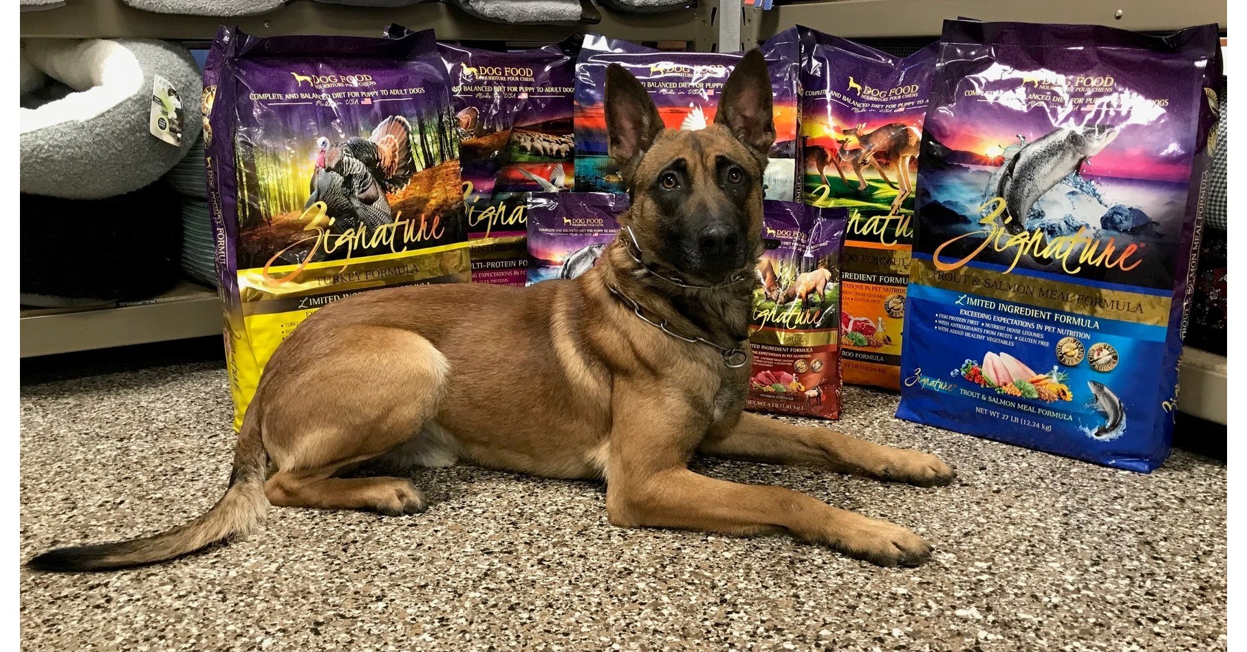 Zignature and Family Pet Food Center Partner to Raise Funds for Green