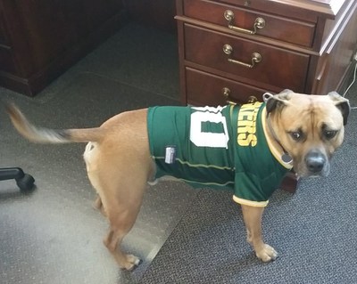 Green Bay Packers Dog Jersey - Yellow Trim