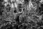 Pirelli: A Journey Through Images Between Thailand And Indonesia To Promote Awareness Of The World Of Natural Rubber