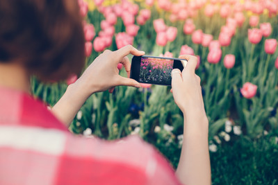 Download the free GrowIt Mobile App to enjoy the Self-Guided Garden Tour (CNW Group/Canadian Tulip Festival)