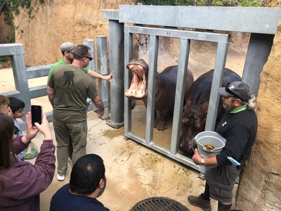 Injured veterans and their families met the wildlife at the San Antonio Zoo during an after-hours tour organized by Wounded Warrior Project® (WWP). 
