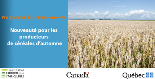 Nouvelle protection d’assurance récolte contre la mortalité hivernale des céréales d’automne (Groupe CNW/La Financière agricole du Québec)