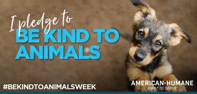 National Panda Day - American Humane - American Humane