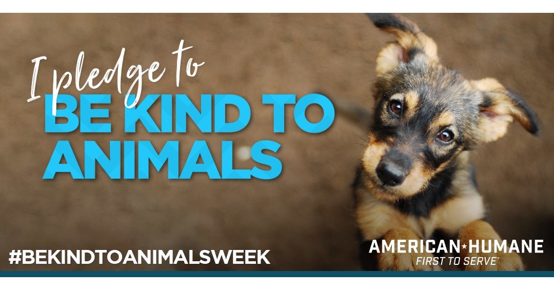 https://mma.prnewswire.com/media/880728/Be_Kind_to_Animals_Week.jpg?p=facebook