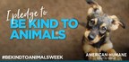 Celebrate American Humane's 'Be Kind to Animals Week®' (May 5-11)
