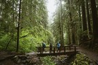 REI Co-op to invest up to $1 million in the National Forest Foundation in 2019