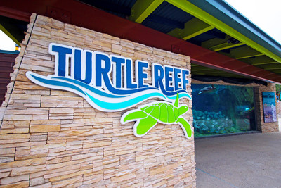 SeaWorld San Antonio Opens State-of-the-Art Turtle Reef Habitat, Two ...