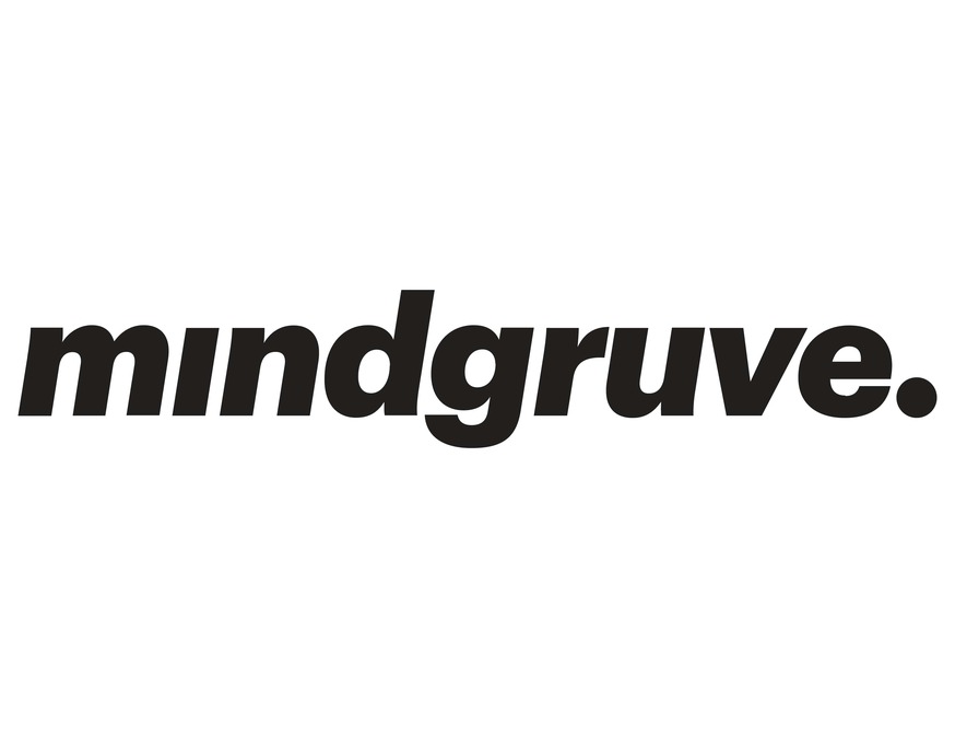 Mindgruve Named Top 3% of Google Partners - Vimarsana News