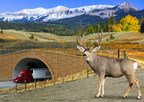 With the Success of Wildlife Crossings in Wyoming, SOS Well Services, LLC Helps Initiate Campaign for Support and Funding