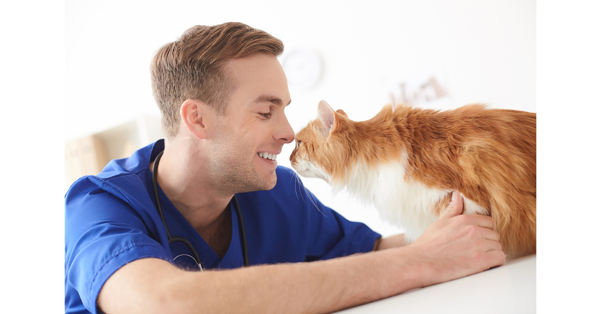 5-ways-pets-can-improve-mental-health