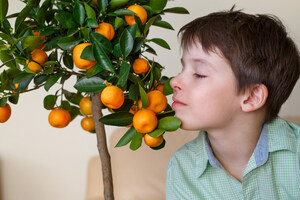 Grow Your Own Citrus. It's Easier Than You Think.