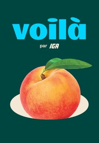 A Gallery of Voilà Examples. Voilà is one of the latest addition