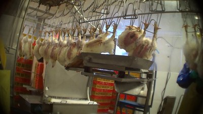 Organic Whole Chicken ~4Lb - Zabiha Halal -Hand Slaughtered