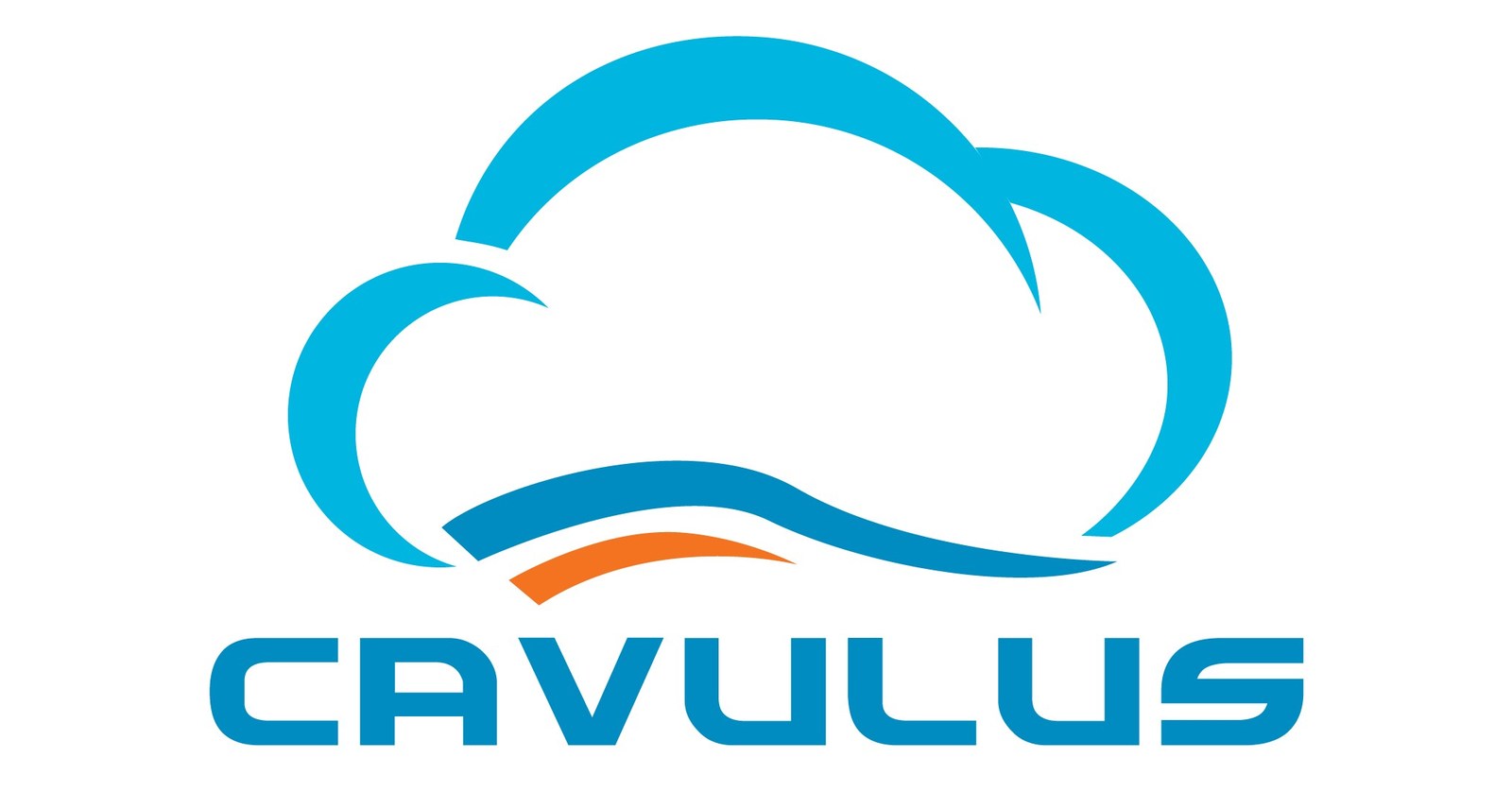 Cavulus CEO Expects Inflationary Pressures Will Impact Medicare Advantage Competition