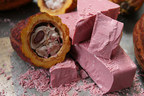 Barry Callebaut lance officiellement ruby, quatrième type, aux États Unis et au Canada