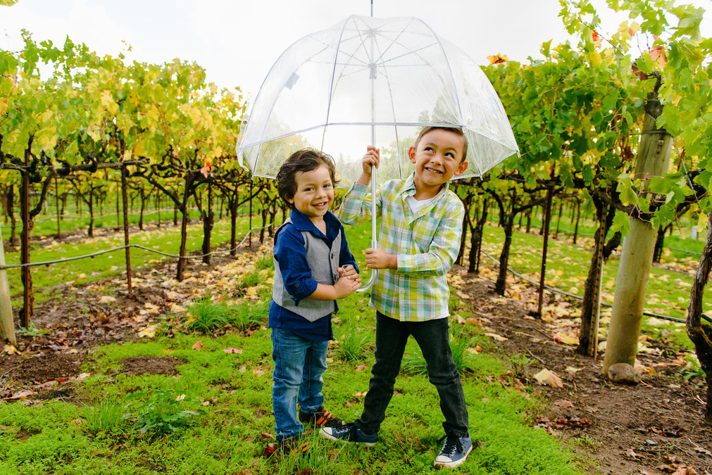 Wine Institute Californias Family Friendly Wineries - 