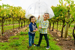 Wine Institute: California's 'Family-Friendly' Wineries Welcome Kids to Wine Country