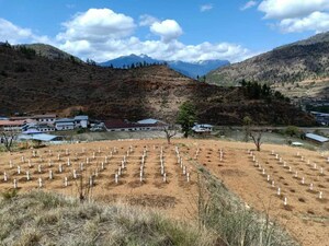 Bhutan Wine Company Plants the First Vineyards in the Kingdom of Bhutan