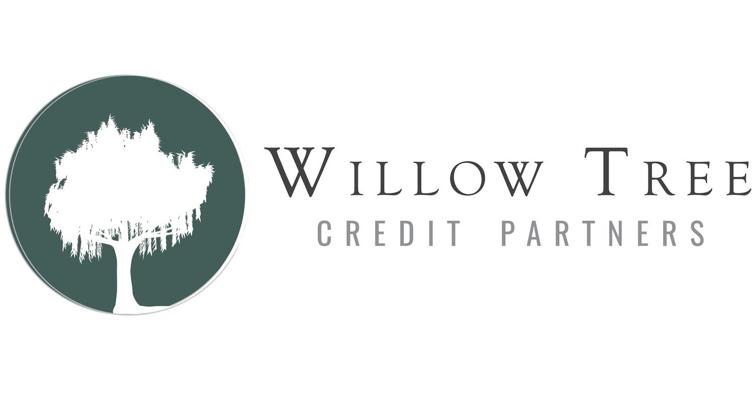 Lead partners. Willow Tree logo. Willow logo.