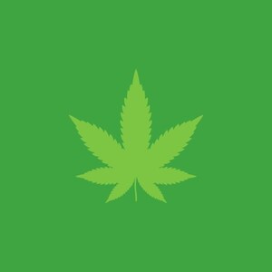 A Statewide Greenout Planned This Week to Boycott Dangerous Cannabis Products