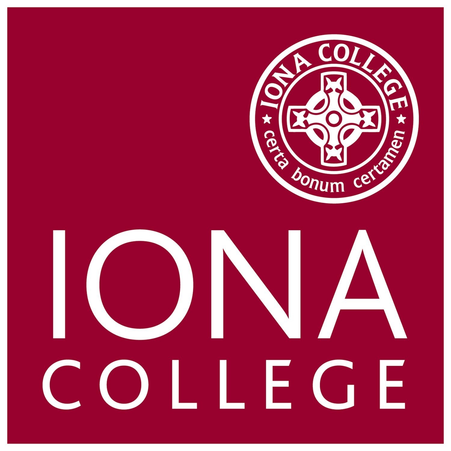 Seamus Carey, a Leading Academic, Named as Iona College's Ninth President